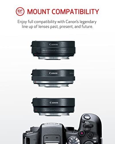 EOS R50 Camera