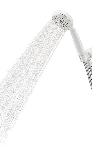 Moen Banbury Mediterranean Bronze 5-Spray Hand Shower