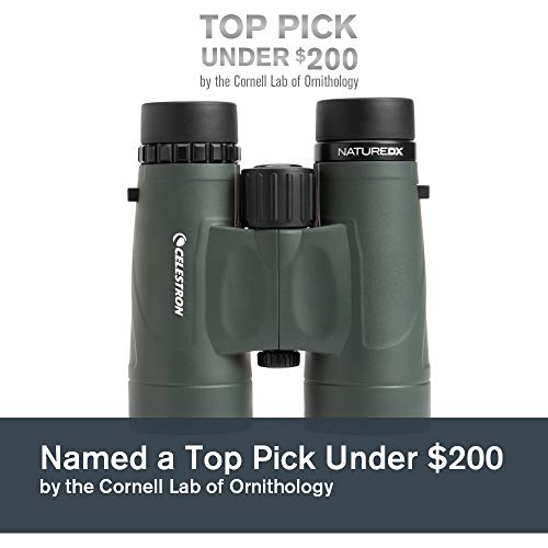Celestron 71332 Nature DX 8x42 Binocular (Green)