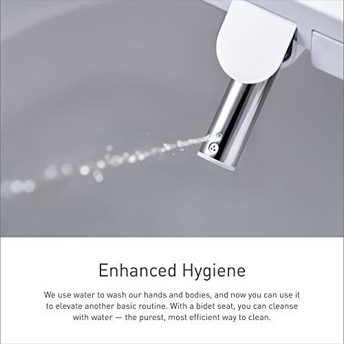 Moen's ET1300 3-Series Tankless Bidet