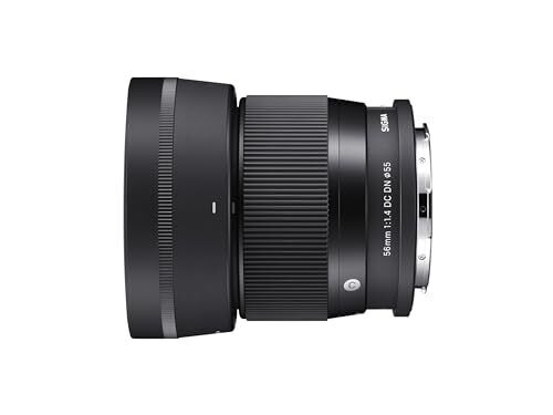 The Sigma 56mm for E-Mount