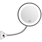 The Best Gooseneck Flexible Makeup Mirror