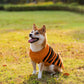 Halloween Dog Sweaters Pet Costume