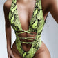 Leopard-print Openwork One-piece Swimsuit