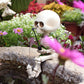 Halloween Decorations Aquarium Courtyard Micro Landscape