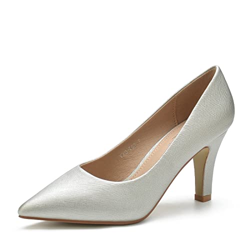 WuORWu Women's Closed Pointed Toe Classic Dress Shoes Silver Heel Pumps (Silver 8)